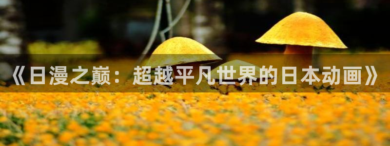 里番动漫排行榜：《日漫之巅：超越平凡世界的日本动画》