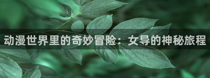 里番动漫岛：动漫世界里的奇妙冒险：女导的神秘旅程