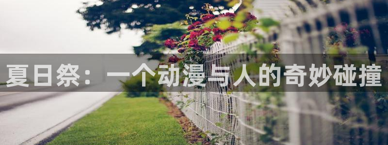 里番动漫在线视频：夏日祭：一个动漫与人的奇妙碰撞
