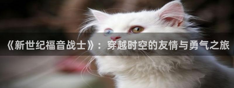 樱花里番动漫：《新世纪福音战士》：穿越时空的友情与勇气之旅